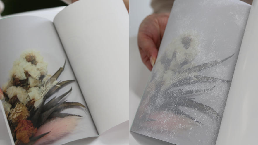 hoshikuzushi_white02